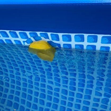 Intex Frame Pool Outlet (update)